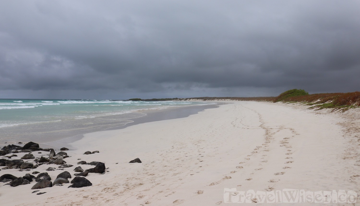 Tortuga Bay, Isla Santa Cruz