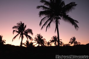 Tropical sunset Mozambique