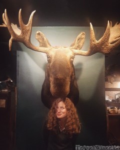 Moose head, Broad Arrow Tavern Freeport