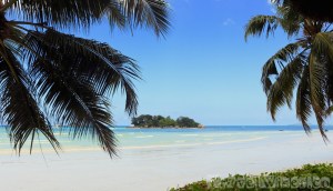 Chauve Souris Island, Praslin Seychelles