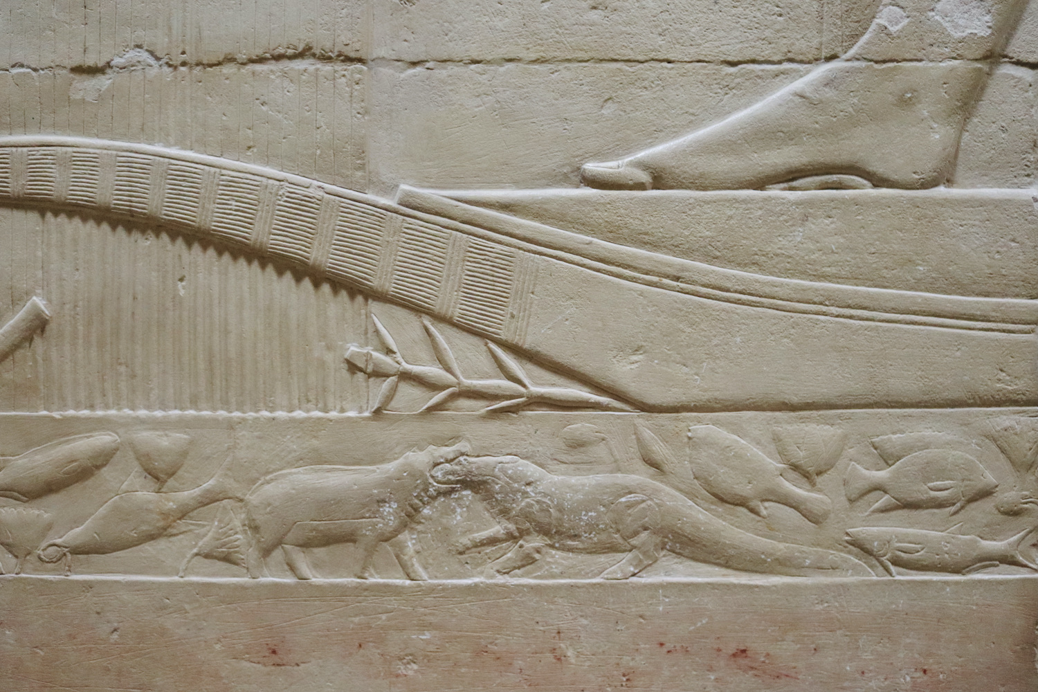 Hieroglyphs with fight between hippo and crocodile, Saqqara Cairo