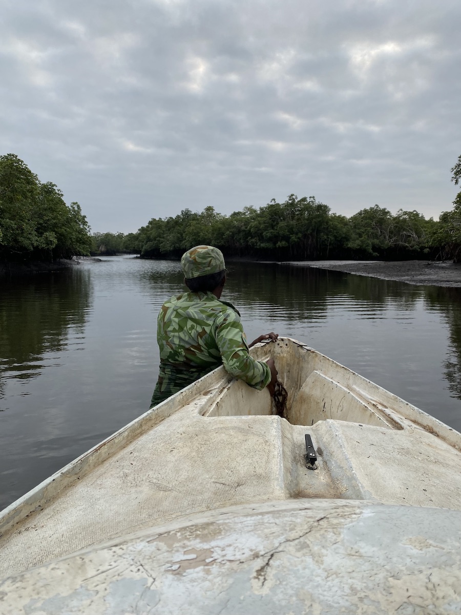Ranger wading through water with a boat, Akanda National Park Gabon