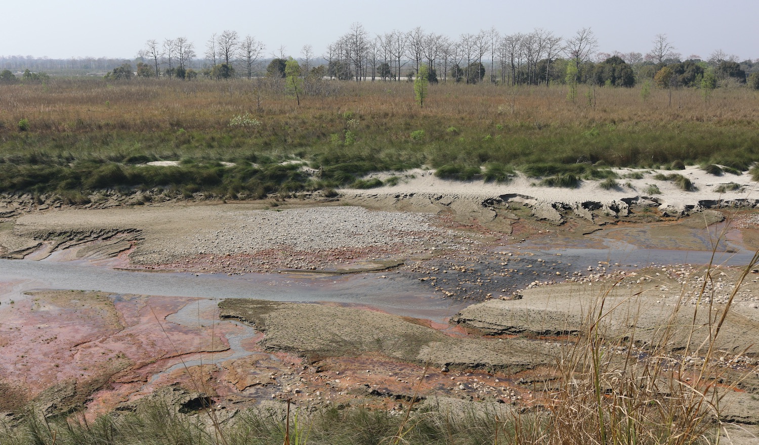 River landscape in Bardiya National Park Nepal