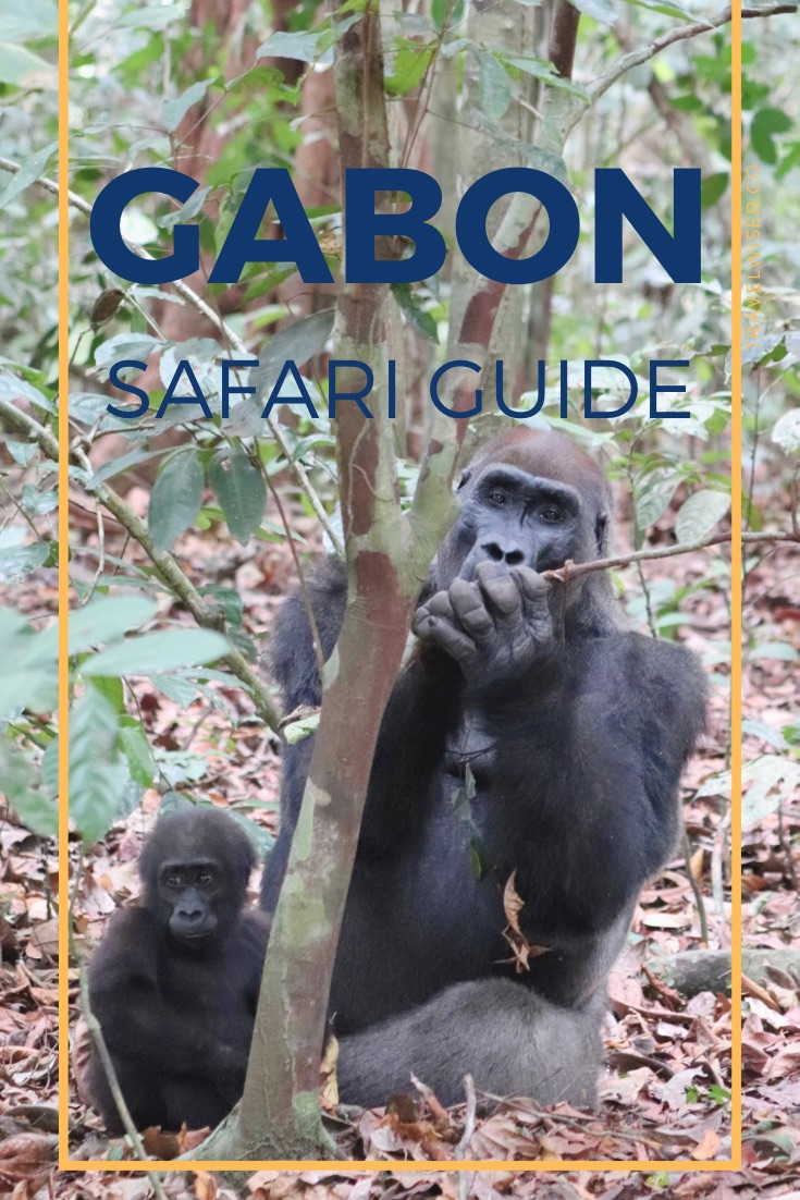 Travel Wiser Gabon safari guide pin