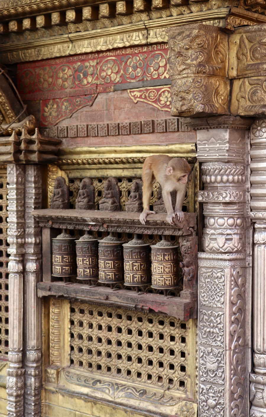 Macaque on buddhist prayer wheels at Swayambhunath temple Kathmandu