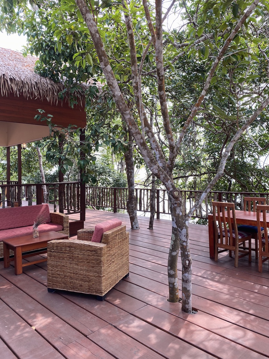 Ndola Camp Loango National Park Gabon