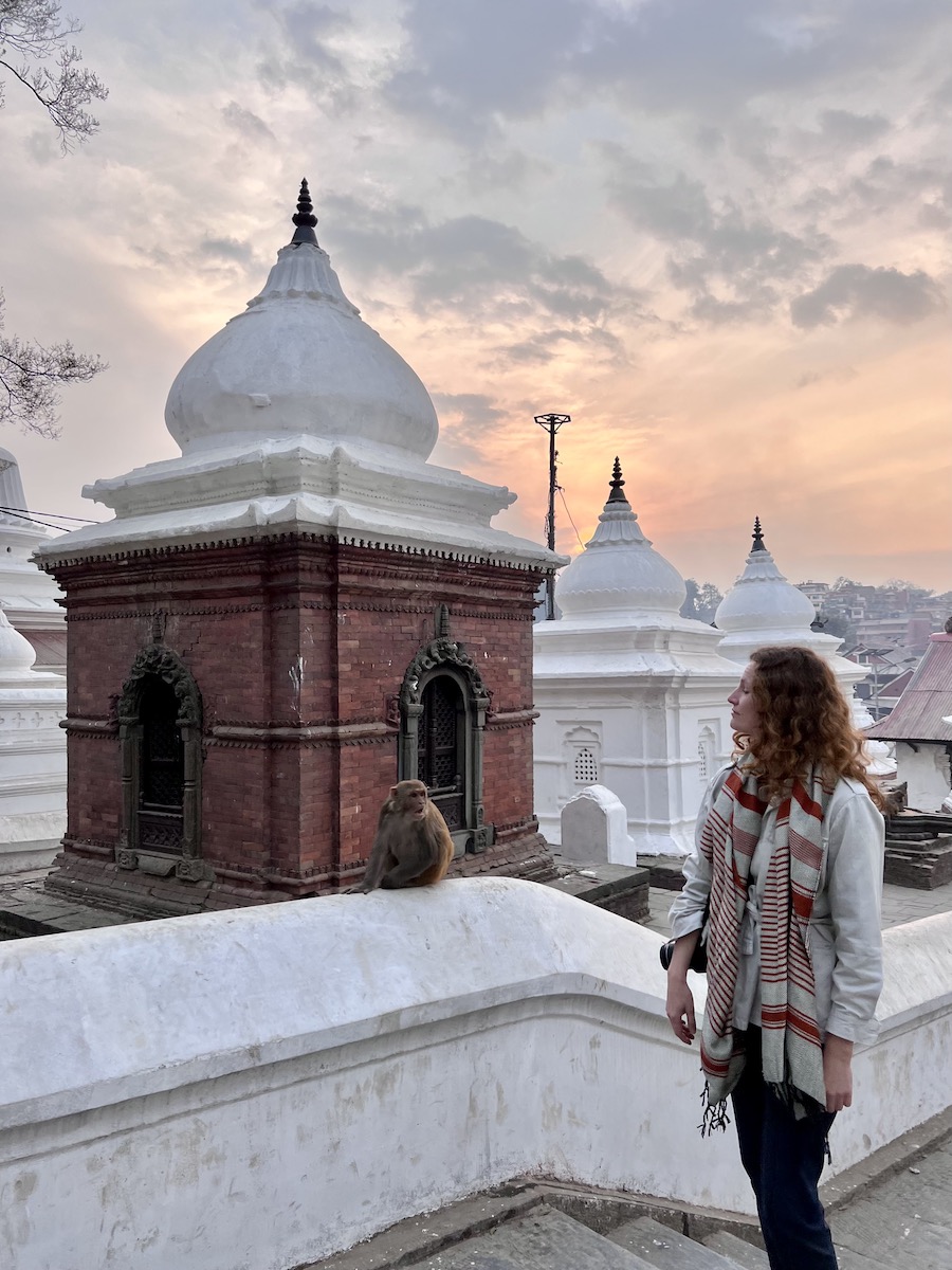 Monkey talk at sunset at Pashupatinath Temple Kathmandu