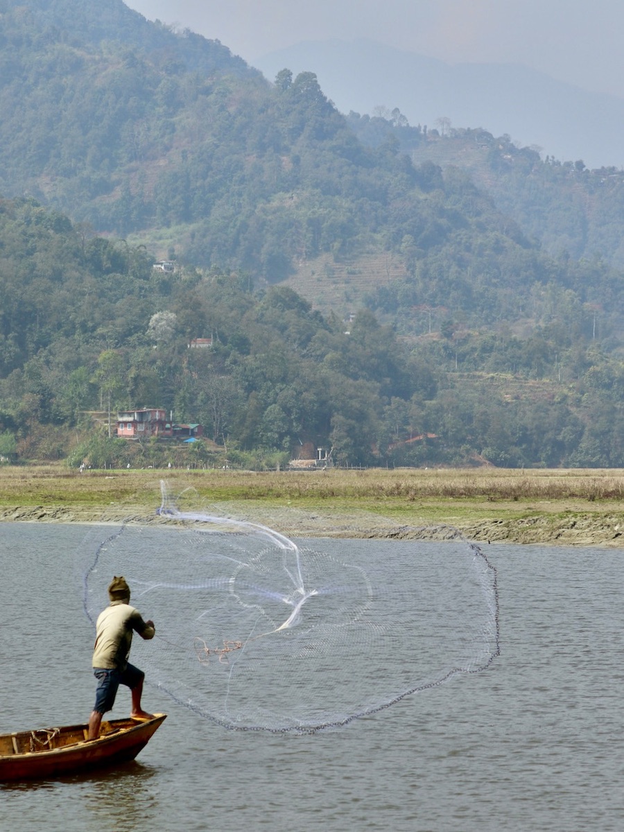 Fisherman on the lake in Pokhara Nepal