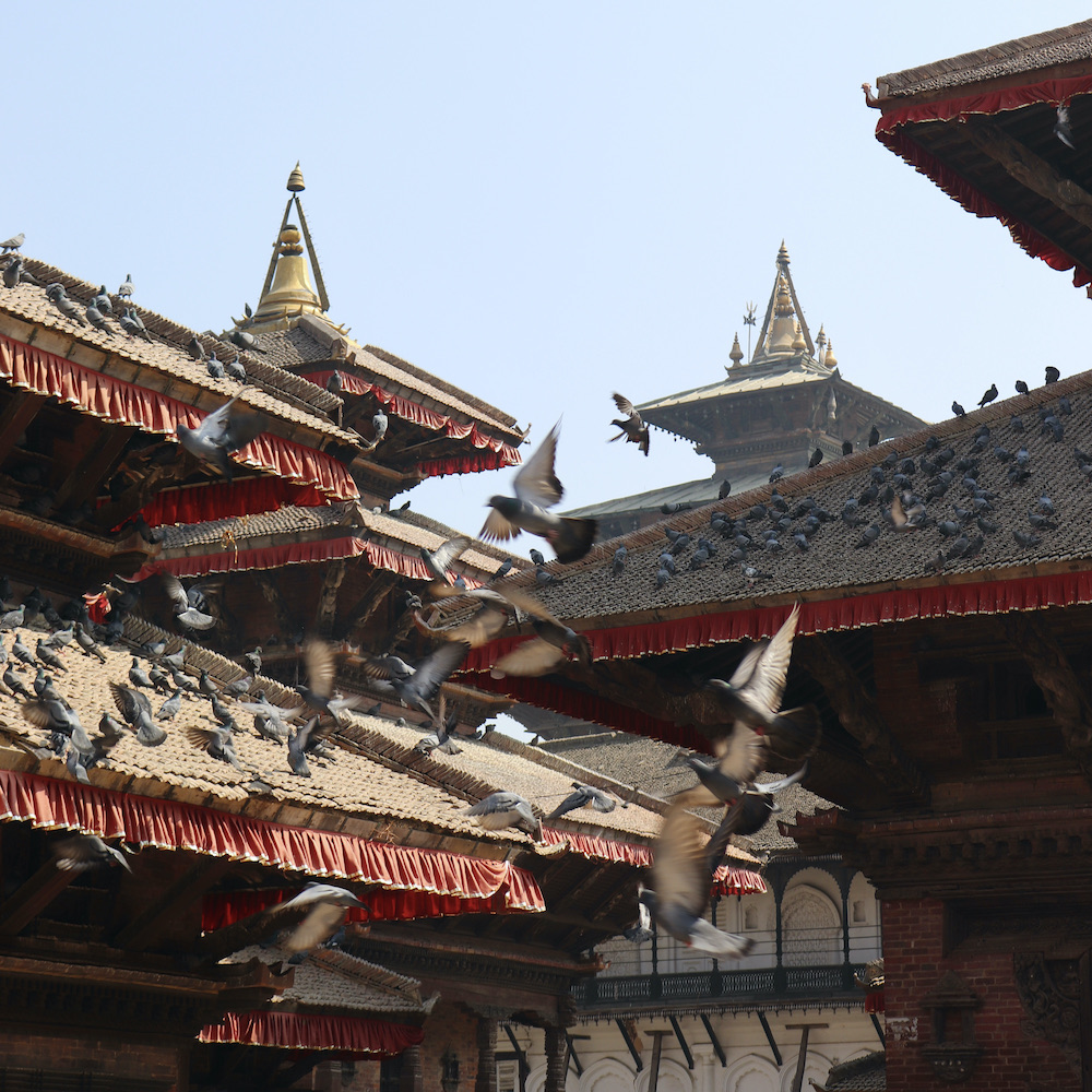 Temple roofs of Kathmandu Durbar Square with flying pigeons