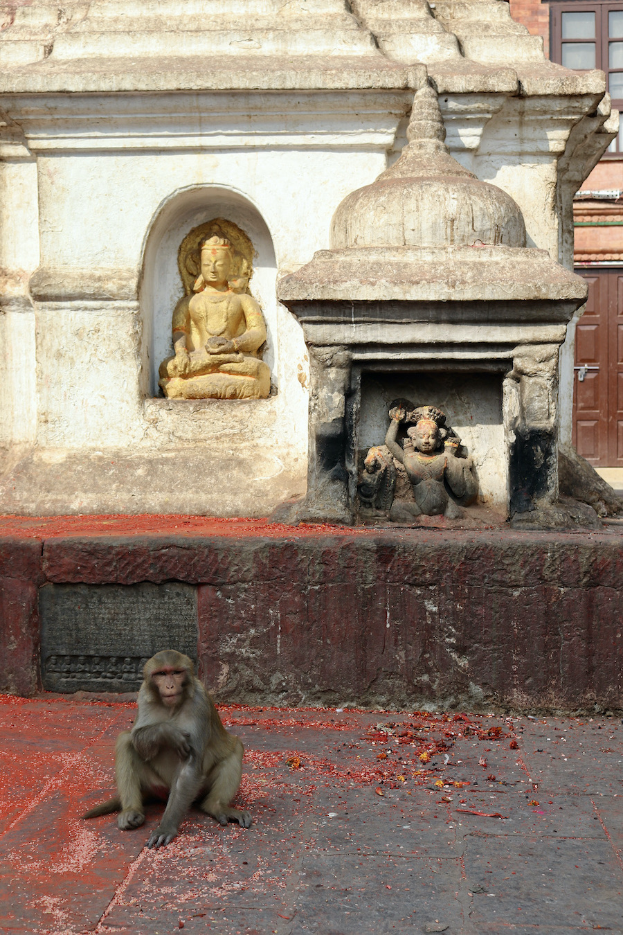 A macaque and buddhist statues at Swayambhunath monkey temple Kathmandu