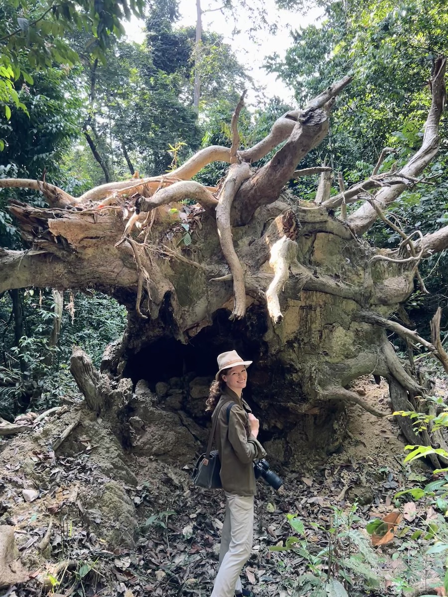 Travel Wiser in the rainforest of Gabon