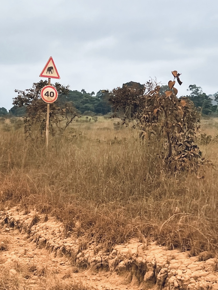 Roadsign watch out for elephants, Lope Gabon